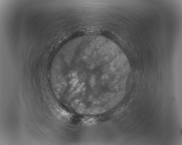 X0000079280913200612011654