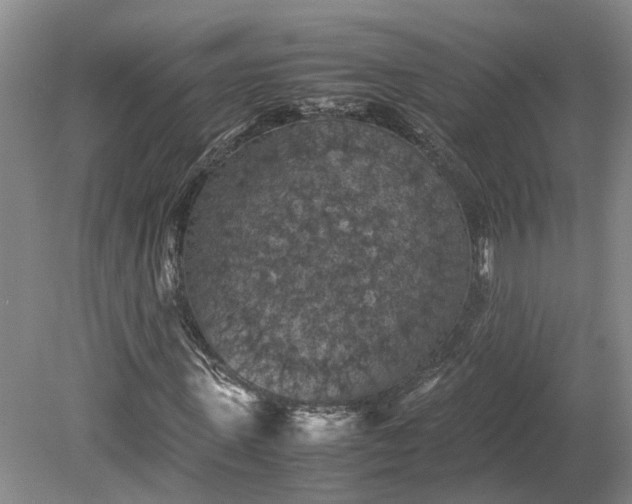 X0000079280915200612011654