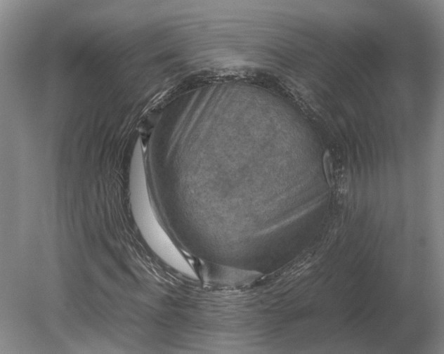 X0000079280916200612011654