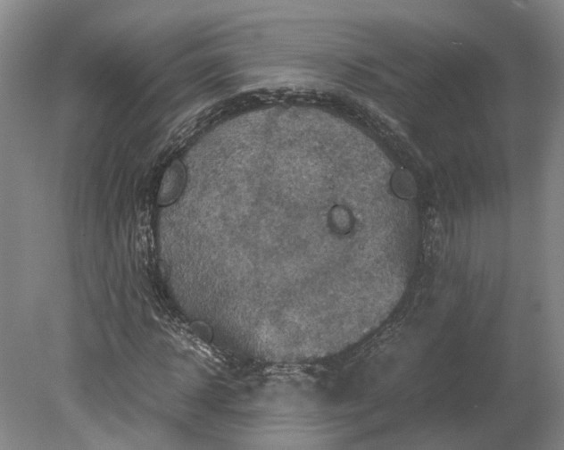 X0000079280918200612011654