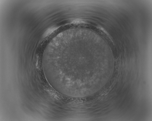 X0000079280919200612011654