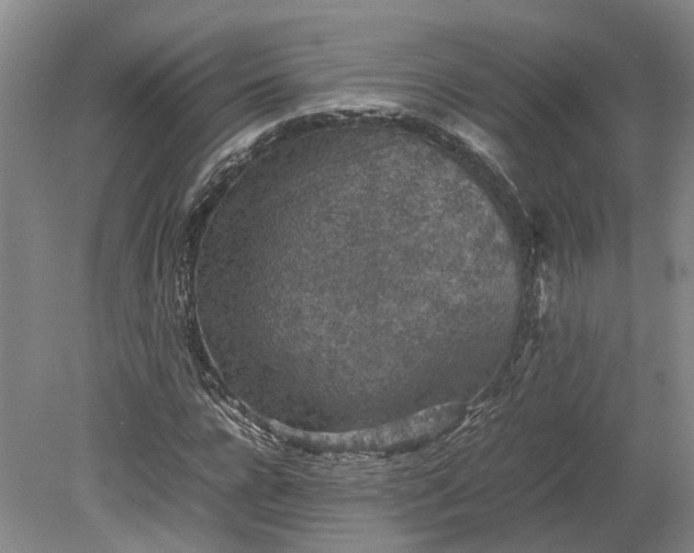 X0000079280920200612011654