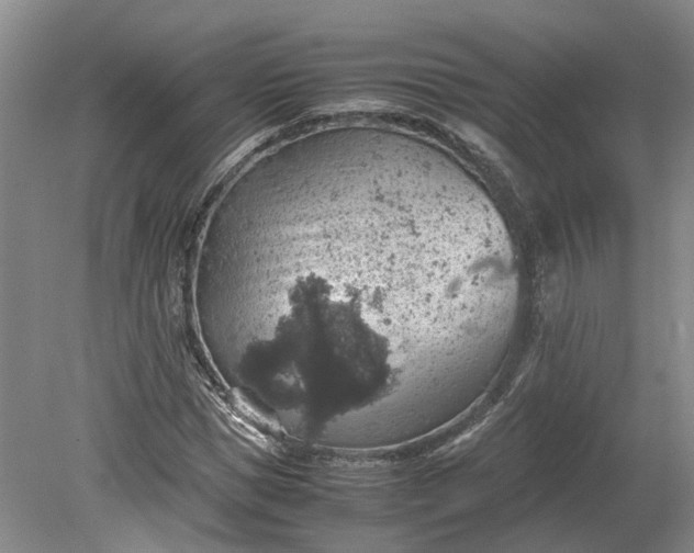 X0000079280921200612011654