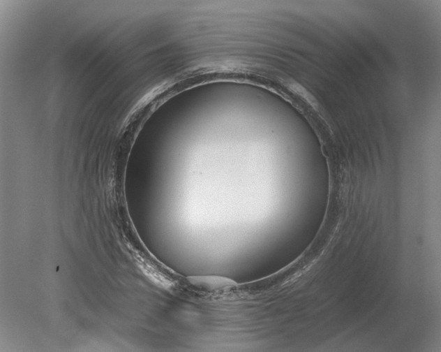 X0000079280922200612011654