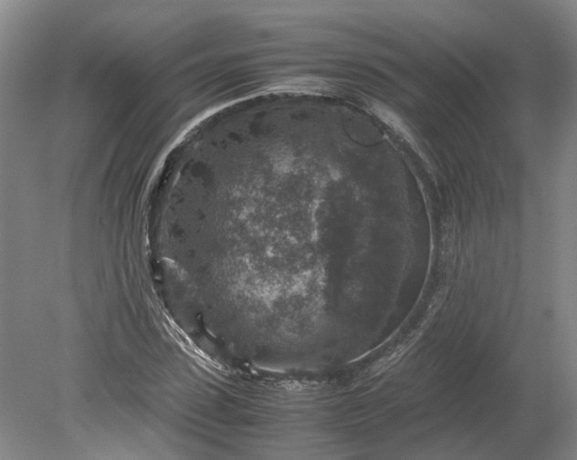 X0000079280923200612011654