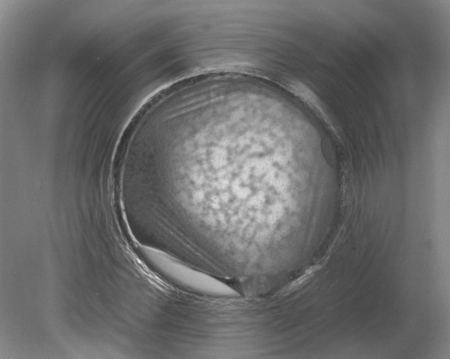 X0000079280924200612011654