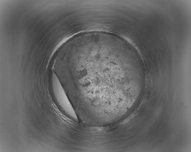 X0000079280925200612011654