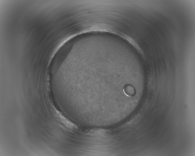 X0000079280926200612011654