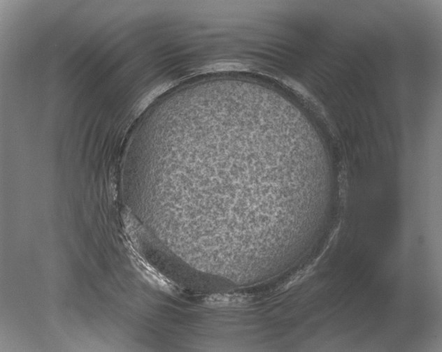 X0000079280929200612011654