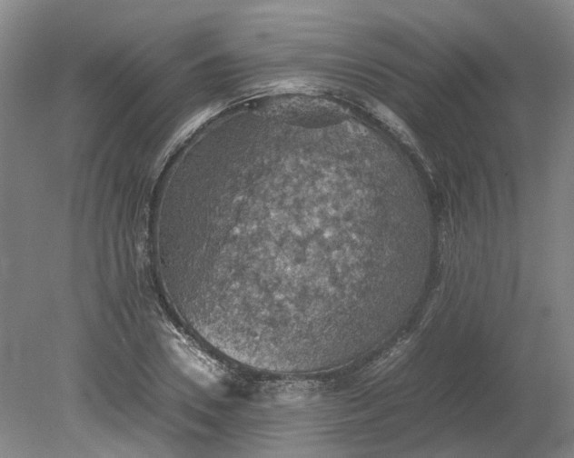 X0000079280930200612011654