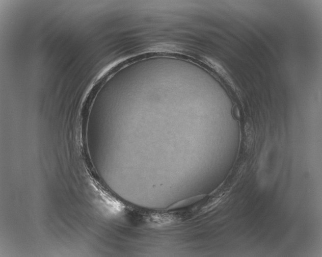 X0000079280931200612011654