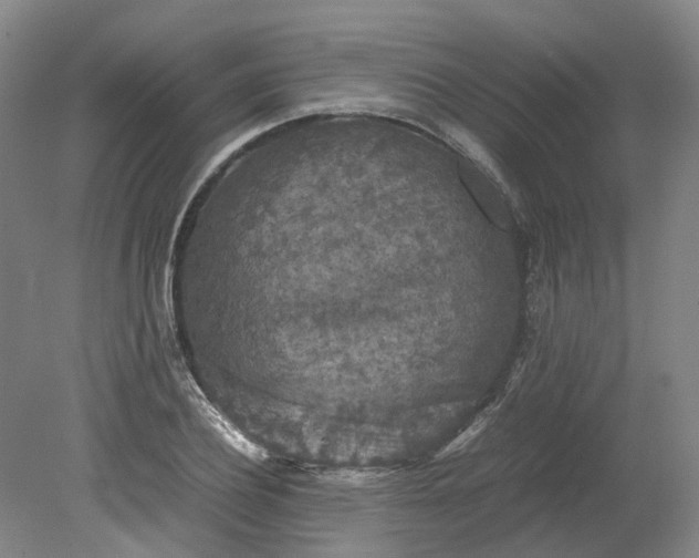 X0000079280932200612011654