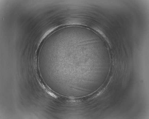 X0000079280933200612011654