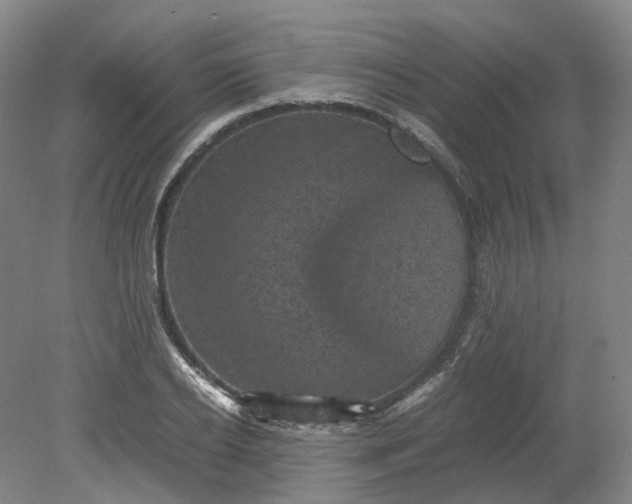 X0000079280934200612011654