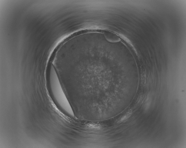 X0000079280935200612011654