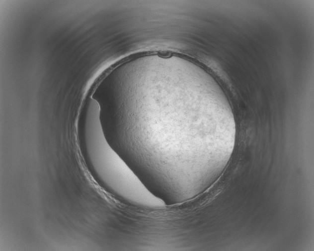 X0000079280936200612011654