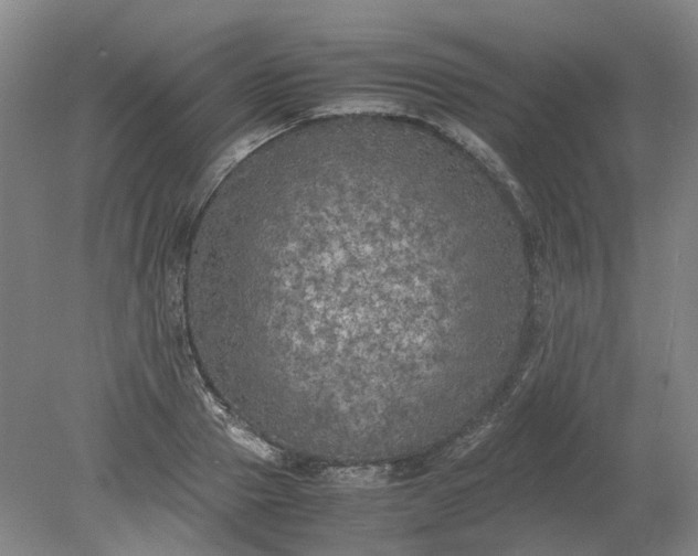 X0000079280937200612011654