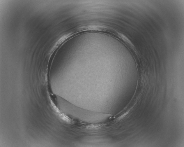 X0000079280938200612011654