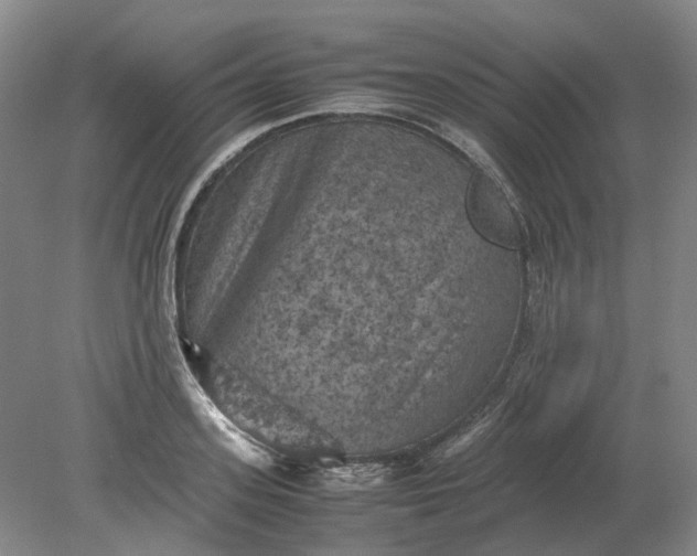 X0000079280939200612011654