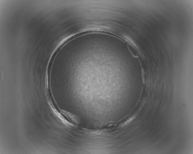 X0000079280940200612011654