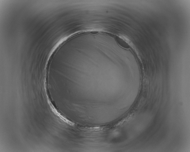 X0000079280941200612011654