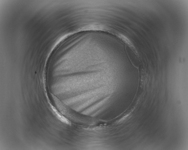 X0000079280942200612011654