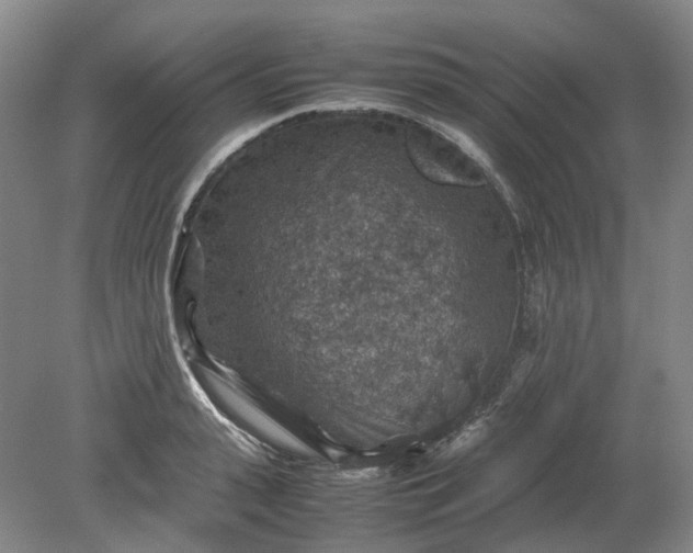 X0000079280943200612011654