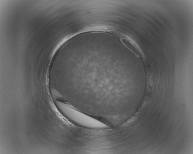 X0000079280944200612011654