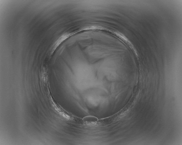 X0000079280945200612011654