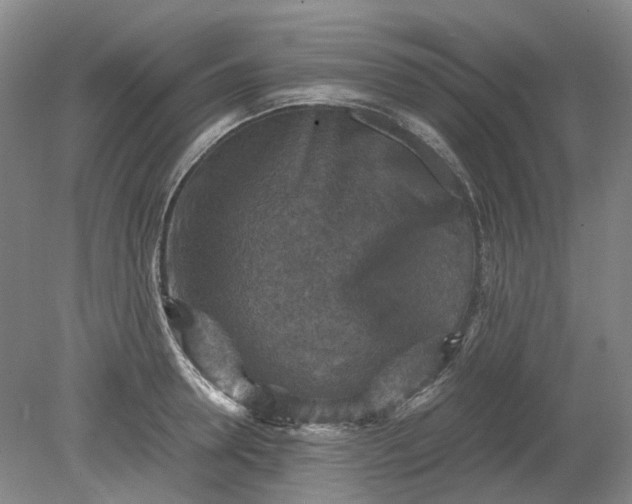 X0000079280946200612011654