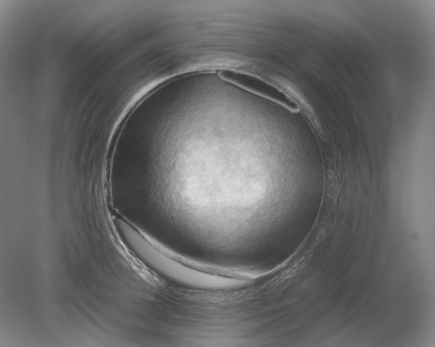 X0000079280948200612011654