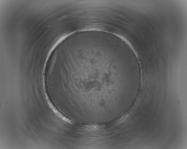 X0000079280949200612011654