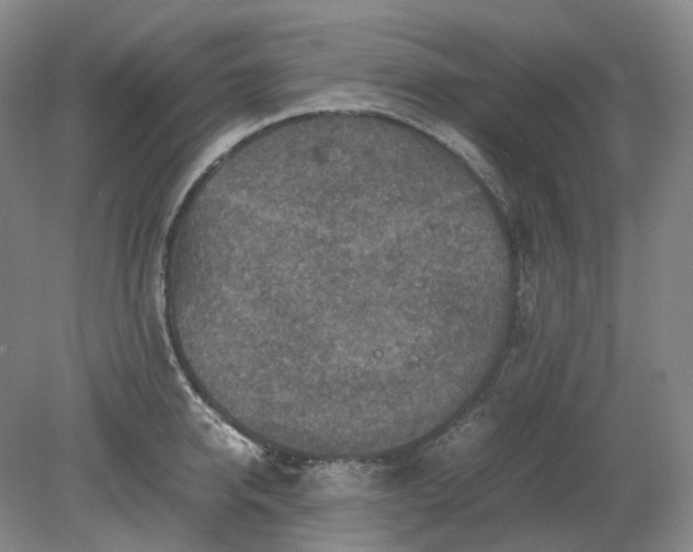 X0000079280950200612011654