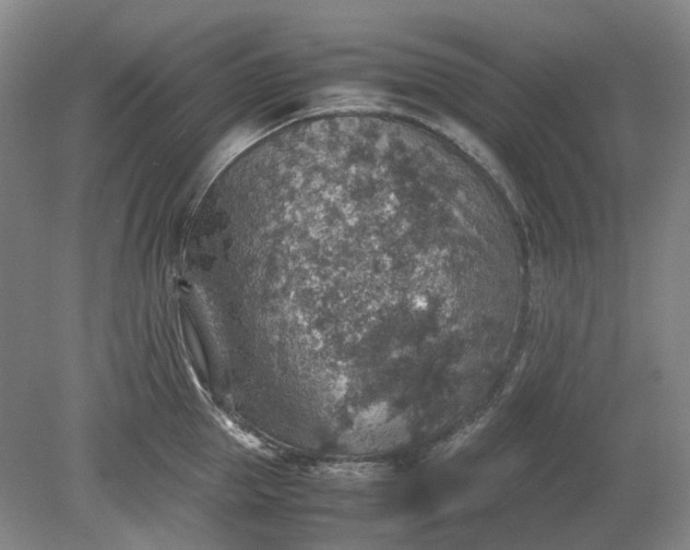 X0000079280953200612011655