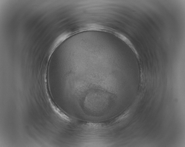 X0000079280954200612011655