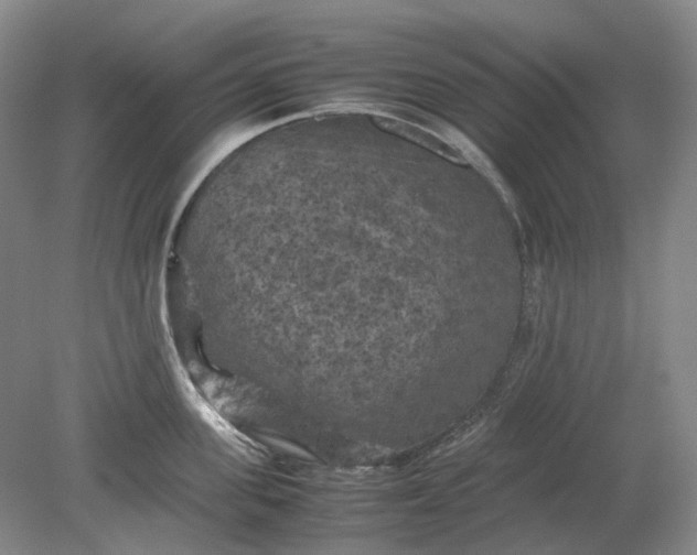 X0000079280955200612011655