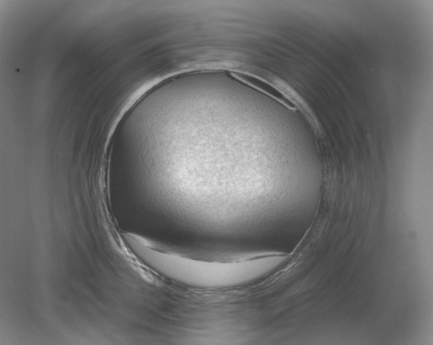 X0000079280956200612011655