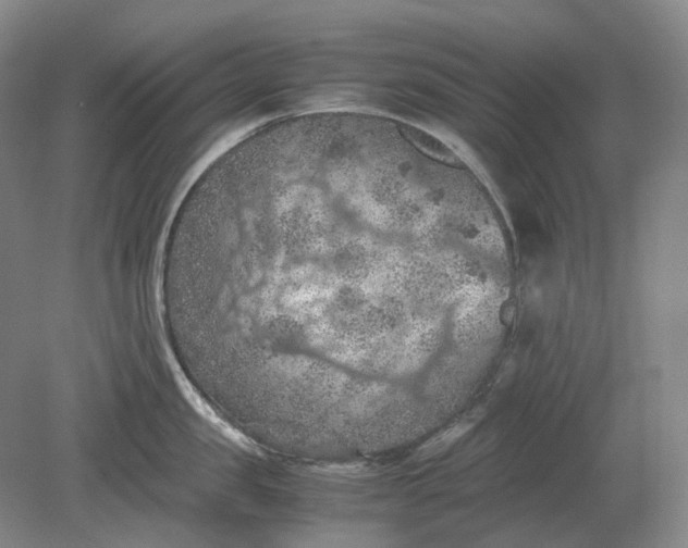 X0000079280957200612011655