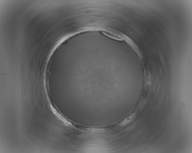 X0000079280958200612011655