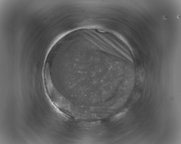 X0000079280959200612011655