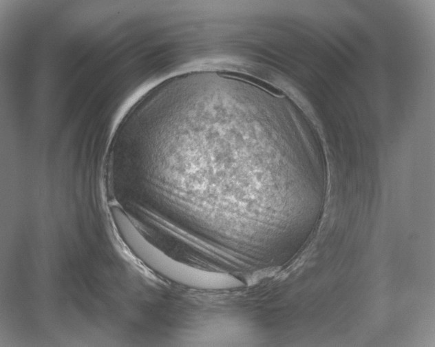 X0000079280960200612011655