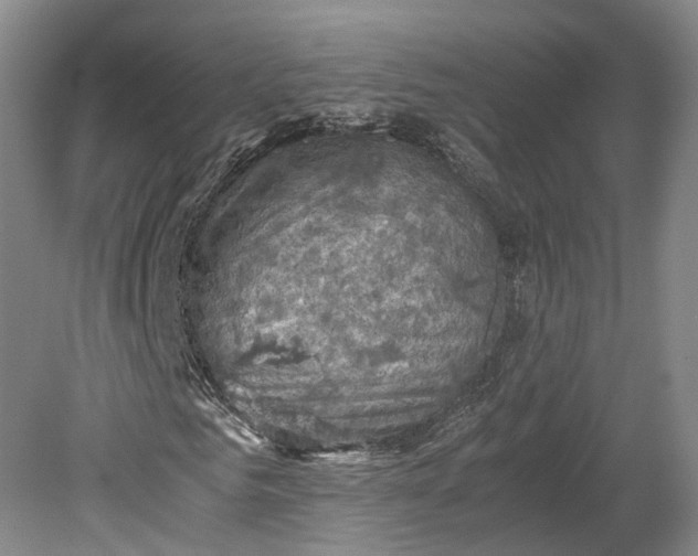 X0000079280961200612011654