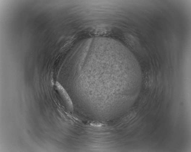 X0000079280962200612011654