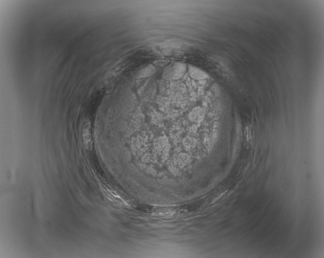 X0000079280963200612011654