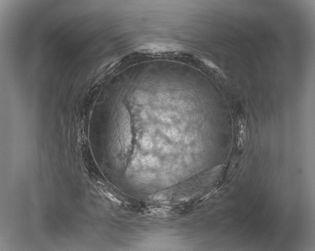 X0000079280965200612011654