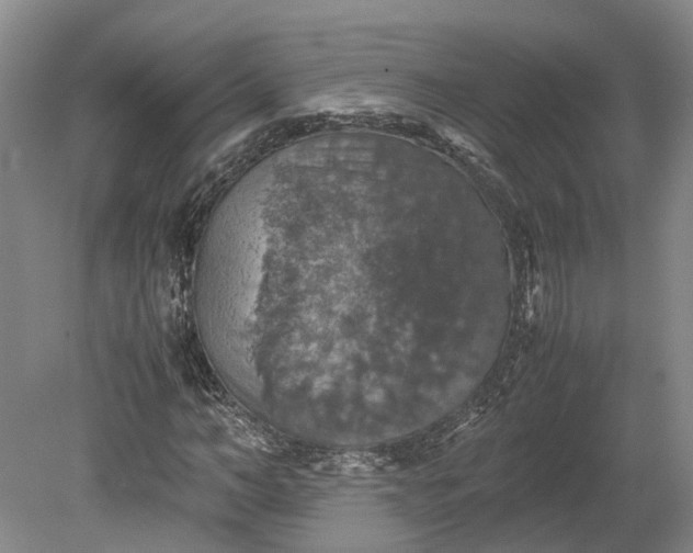 X0000079280966200612011654