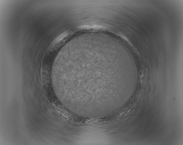 X0000079280967200612011654