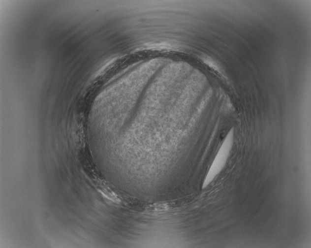 X0000079280968200612011654