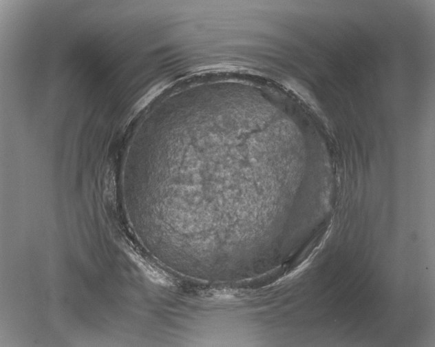 X0000079280969200612011654