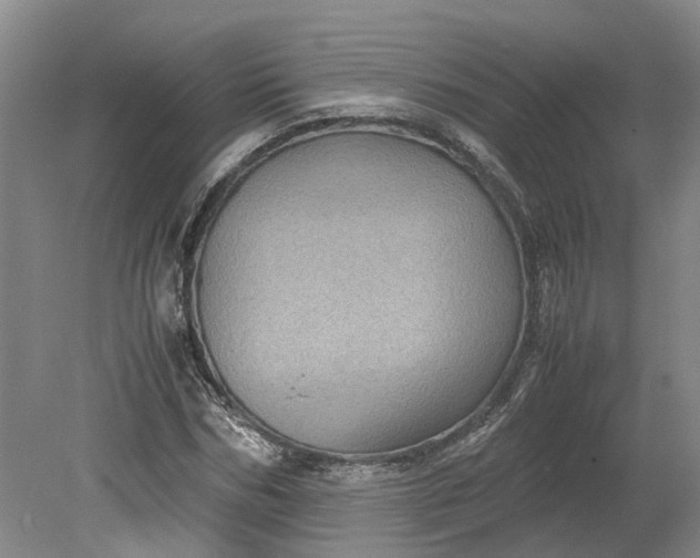 X0000079280970200612011654